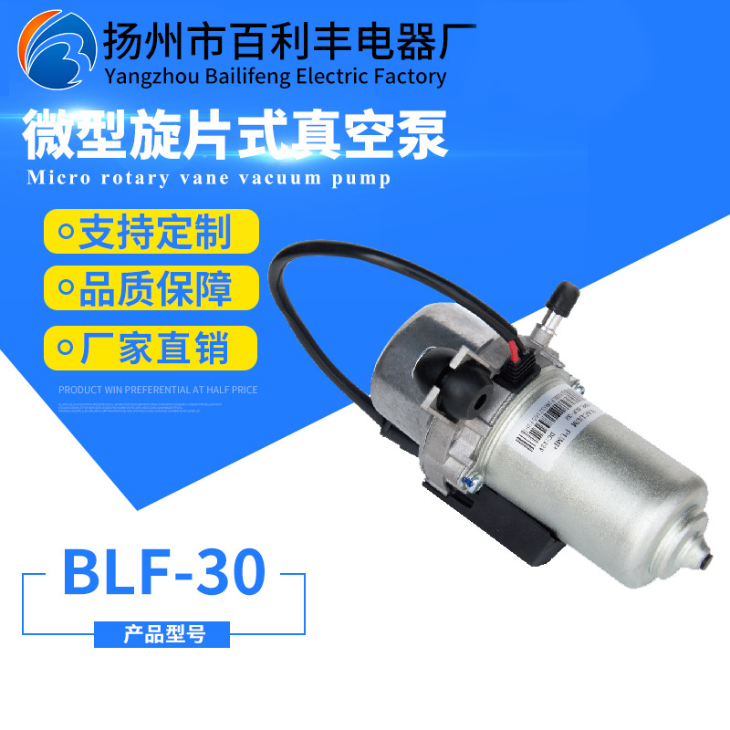 旋片泵BLF-30