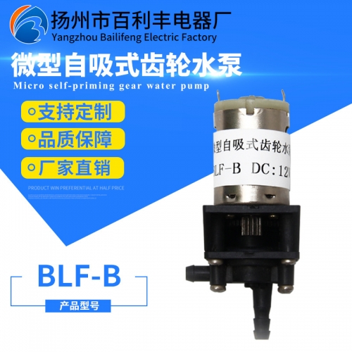 微型自吸式齿轮水泵BLF-B