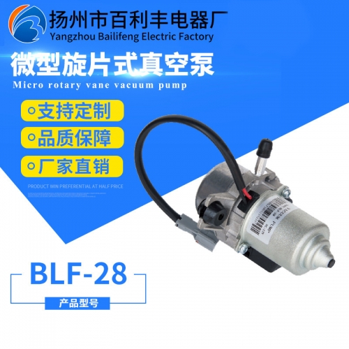 旋片泵BLF-28
